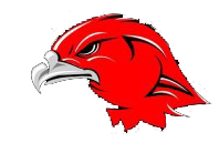 Hawk Logo