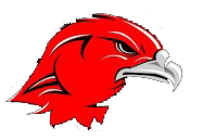 Hawk Logo